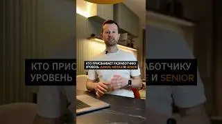 Кто присваивает разработчику уровень Junior, Middle и Senior