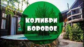 База отдыха Колибри Боровое Казахстан