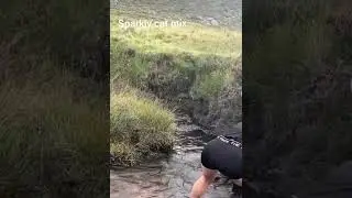 The Ram Cannot jump out of the Big Mud