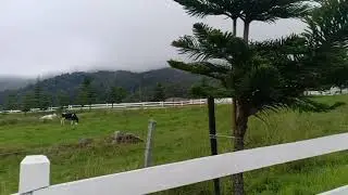 KUNDASANG TRIP TSV 1 2019