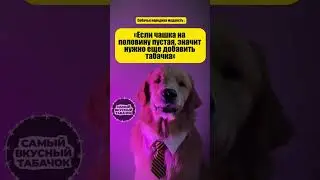 Истинна 😂 #shisha #юмор #hookah #прикол #nuahule #hookahlife #собаки #hookahblog #кальян #мем