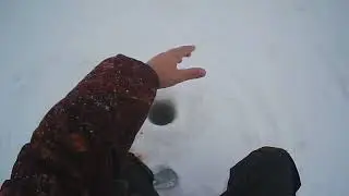 Окунь Колояр