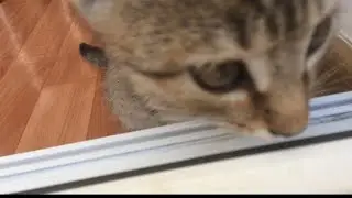 Мой новый Катей милаха
