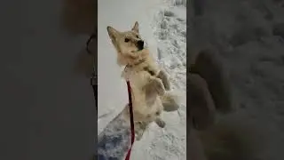 Твои чёрные глаза❤️..