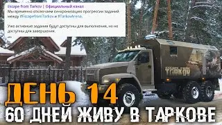 День 14 🔴 Cломалась Синхронизация Таркова и Арены