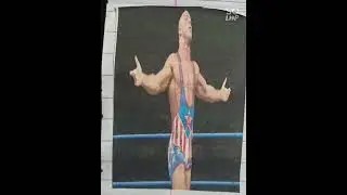 WWE KURT ANGLE/WWE STICKER COLLECTIONS 
