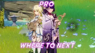 Lumine and Raiden Shogun [Genshin Impact] Where to Next / Pro