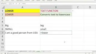 EXCEL: usage of LOWER Text function in excel that Converts text to lowercase.