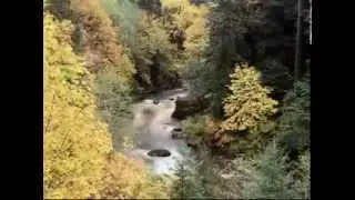 video1