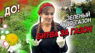 Превращаем заросли в зелёный газон: пошаговый процесс как я боролась с сорняком 👊)! 