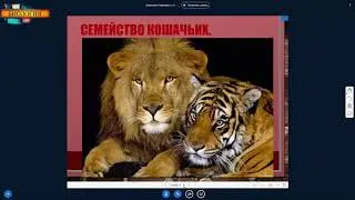 Хищники