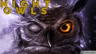 Night Owls on the Legend of Santa