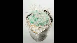 Lotería de Baja California FEROCACTUS