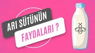 Arı Sütü Faydaları Nelerdir? Nasıl Kullanılır?
