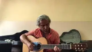 Генералы Песчаных Карьер -guitar cover Garri Pat