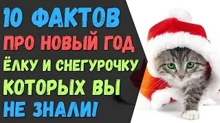 10 интересных фактов про Новый год, Eлку и Cнегурочку