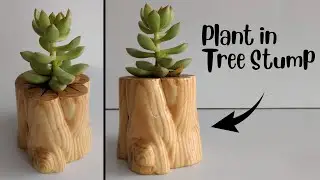 Tree Stump Planter | DIY| How to carve a tree stump out of pine wood