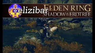 Darklight Catacombs - Shadow of the Erdtree (Elden Ring) Part 68