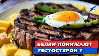 Как белки и углеводы могут повысить или понизить твой тестостерон