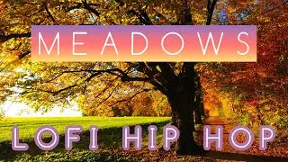 Meadows | Lo-Fi Hip Hop Songs | Music to Relax