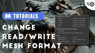 How To Change Read/Write For Mesh Assets Format