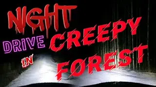 Night winter driving in creepy forest | Original sound #shorts #nightdrive #forest #winter #dark