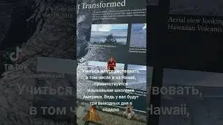 #студенческаявиза