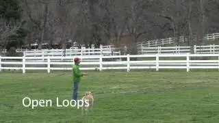 Casting Fault: Open Loops