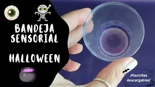 Bandeja Sensorial Halloween