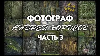 Фотограф Андрей Борисов. Часть 3.