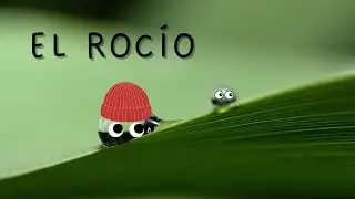 ¿QUÉ ES EL ROCÍO? En menos de 1 minuto