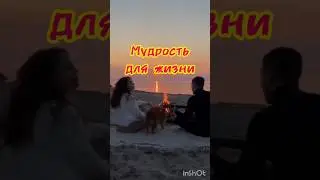 Что такое любовь...