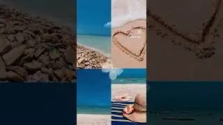 Peace 🕊️ 