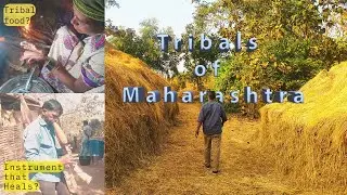 Tribal life | Maharashtra (part 2)