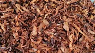 Fried | Brown Onion Without Oil | تیل کے بغیر پیاز براءوں کریں  | Brown Piyaz Baghair Oil Ke |
