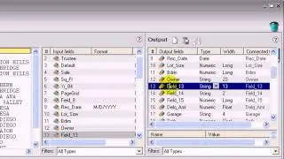 Edit the output dictionary