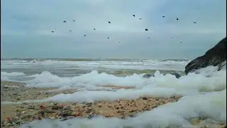 Ноябрь красит в серость море. Видеостих