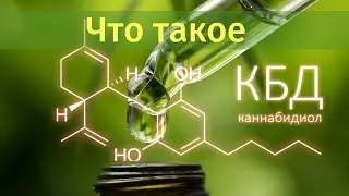 Что такое каннабидиол от компании Kannaway