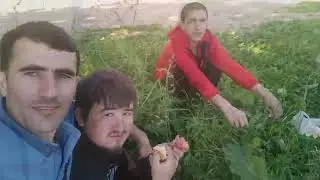 День молодёжный