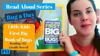 TVL   Spring   Bugs   Read Aloud   Little Kids First Big Book of Bugs   Giraffe Weevil