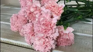 Как быстро открыть гвоздики