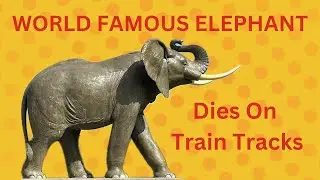 World's Most Famous Elephant, JUMBO with @Jarvisbiker #roadsideamerica