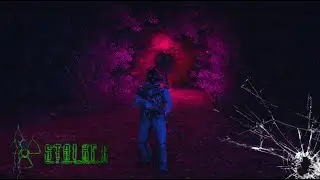 ► СТРИМ - Stay Out///Stalker online ✬ Sem Games ✬