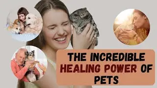 The Incredible Healing Power Of Pets