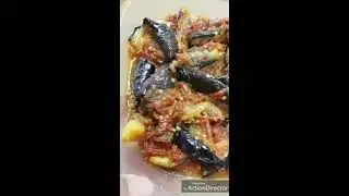 tutorial terong balado KOREA SELATAN
