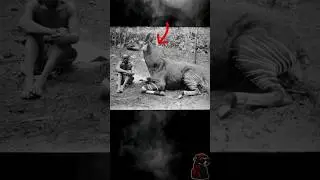 Fotografías históricas que tienes que ver prt162