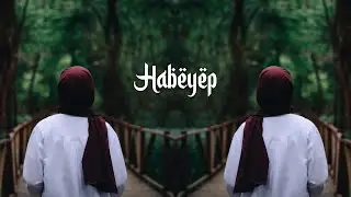 Bashie - Habeyep