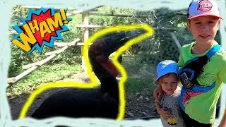 Огромная птица чуть не съела Макса палец. ЗООПАРК
