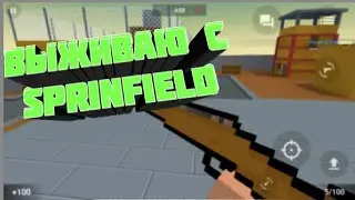 ВЫЖИВАЮ С ОРУЖИЕМ SPRINFIELD|Я СМОГ ВЫЖИТЬ|ДА ИЛИ НЕТ?