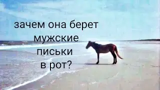 Зачем она берет мужские песня /лошадь стоит на берегу моря /скала / remix /1 час/ ШОК! /РЖАЧ ПОЛНЫЙ.